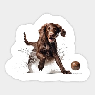 Irish Setter Sticker